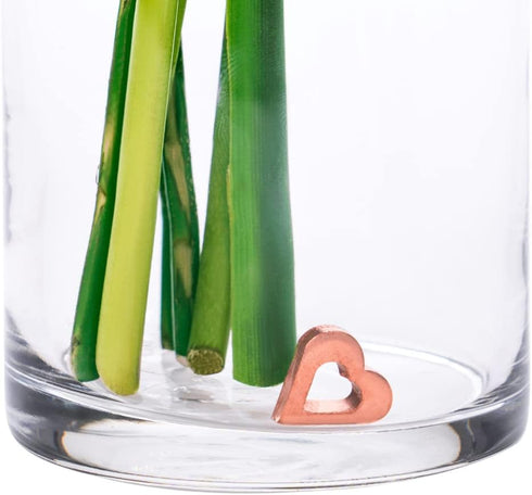 Flower Food Alternative for Fresh Cut Flowers | Copper Charm Keeps Flower Water Clean and Clear | Just Place It in The Vase, Reusable (2 Pack)...