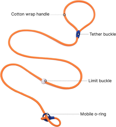 4.9FT Durable Nylon Dog Leash with Comfortable Handle for Walking and Training, pet Leashes Featuring for Medium Dogs Small Puppy (Minty Green)...