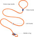 4.9FT Durable Nylon Dog Leash with Comfortable Handle for Walking and Training, pet Leashes Featuring for Medium Dogs Small Puppy (Minty Green)...
