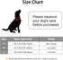 Dog Collar, Cute Flower Floral Patterns Pet Collars for Girl Female Boy Small Medium Large Dogs, Strong Rose Gold Metal Buckle, Soft Cotton Adjust...