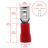 Baomain Red Female Insulated Spade Wire Connector 3/16'' Electrical Crimp Terminal 22-16 AWG 4.8 x 0.5mm FDD1.25-187 (0.187") (200PCS)...