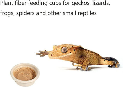 Paper Gecko Feeding Cups Reptiles Food and Water Bowls Feeder 0.5oz Small Cup Feeding Ledge Replacement Cups for Crested Gecko Lizards Spiders,100...