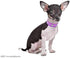 Rhinestone Dog Collar, Crown Rhinestone Diamante Jewelry Crystal Adjustable PU Leather Pet Dog Cat Puppy Collar (S:8-10.5", Purple)...