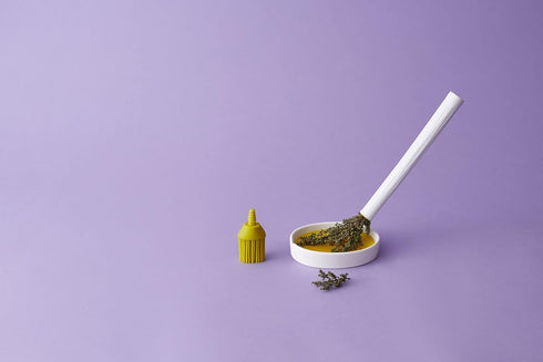 HerbWand Basting Brush with Ceramic Tray...
