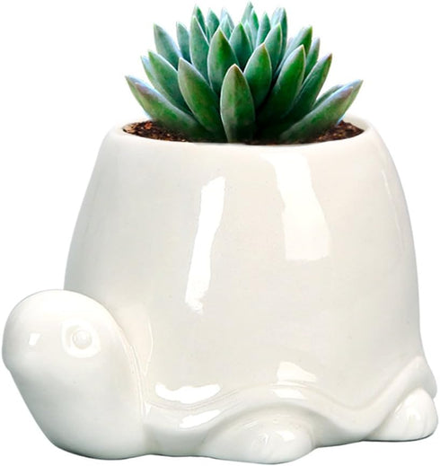 GeLive White Turtle Ceramic Succulent Planter, Tortoise Plant Pot, Windowsill Box, Animal Flower Container, Tabletop Decor with Drainage Hole (Set...