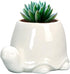 GeLive White Turtle Ceramic Succulent Planter, Tortoise Plant Pot, Windowsill Box, Animal Flower Container, Tabletop Decor with Drainage Hole (Set...