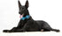 Maca Bates Blue Checkered Dog Collar with Bow Bowtie for Dogs Bows Tie Grid Summer Plaid Adjustable Breakaway Collars Accessories Birthday Gift fo...
