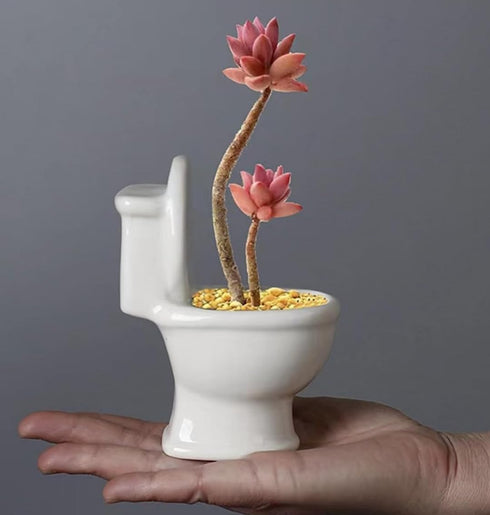 Toilet Shaped Planter Small Succulent Pot Small Succulent Pots with Drainage, Indoor Plant Container Planter with Drainage Hole Home Office Desk G...