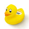 b&h Digital Duckling Baby Bath Thermometer, Infant Safe Floating Water Temperature Thermometer and Baby Bath Time Toy – Easy to Read Display | BPA...