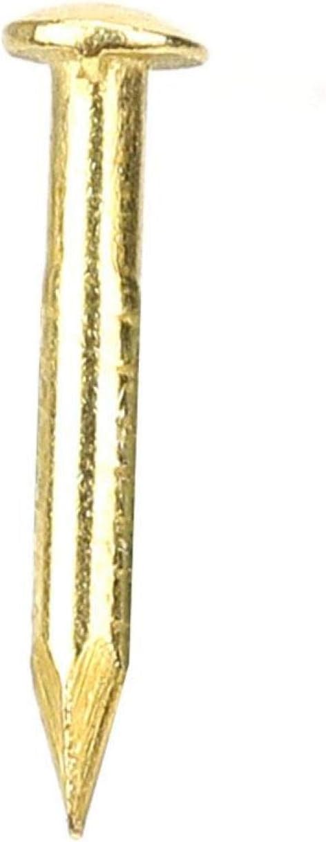 Brass Nails, 100 Pieces Round Head Gold Nails, Brass Wall Pins 10mm 15mm 18mm 22mm, Furniture Brass Tacks for Wood, for Hanging Picture Frame Mirr...