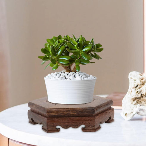 GANAZONO Wood Planter Riser 2pcs Wood Stool Rustic Plant Stand Chinese Style Planter Pedestal Flower Pot Display Rack Tabletop Fish Tank Base Hand...