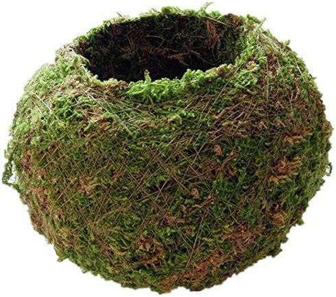 Moss Ball Flower Pot Natural Planter Bonsai Plant Holder Bird Nest for DIY Gardening Home Table Decoration - 15cm...