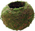 Moss Ball Flower Pot Natural Planter Bonsai Plant Holder Bird Nest for DIY Gardening Home Table Decoration - 15cm...