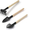 Set of 3pcs Gardening Tools for Small Plants Succulents Pots Flower Cactus - Bonsai Tool Kit Gift for Kids and Adults...