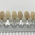 Dental Equipment Teeth Whitening Porcelain Classic 16-Color Guide Model Shade Guide 1PCS...