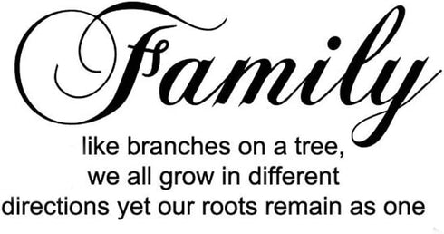 Family Like Branches on a Tree Wall Sticker Removable Home Decor Art Stickers (Family Tree)...