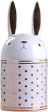 HAUCOZE Rabbit Cookie Jar Decorative Candy Jar with Lid Modern Arts Gifts Ceramic 8.1inch...