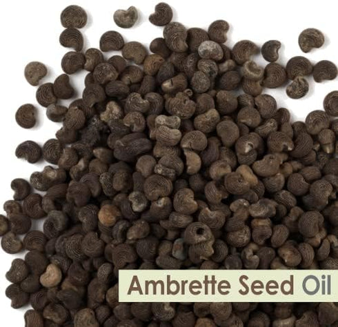 Crysalis Ambrette Seed (Abelmoschus moschatus) Oil - 0.51 Fl Oz (15ml)...