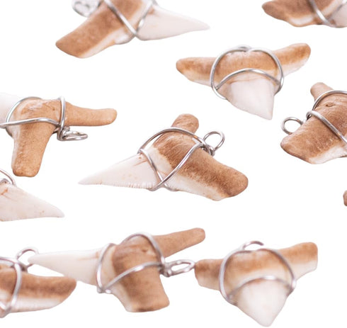BlueRica Shark Tooth on Adjustable Brown Cord Necklace (3L)...