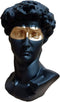 Taotenish Greek David Head Statue - Classic, Modern, Simple - Black Resin - 6" H x 6" W x 6" D - Home, Office Decor...