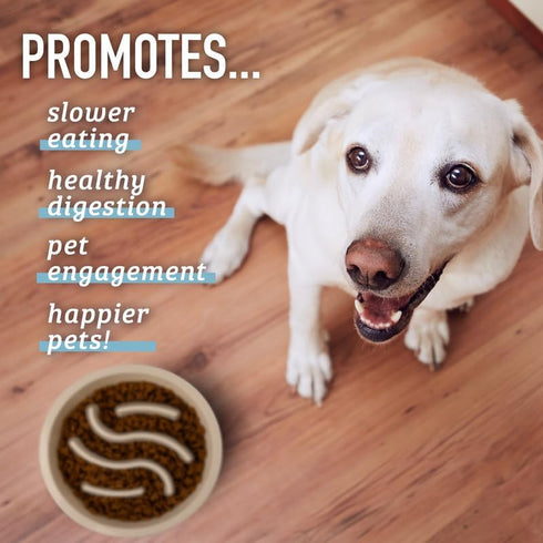 Leashboss Slow Feeder Dog Bowls - Cup Maze Puzzle Food Bowl with Feeder Holes, Fits into Elevated Pet Feeders - Slow Eating for Large, Medium & Sm...
