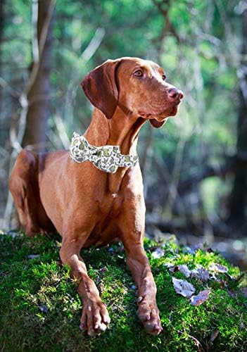 ARING PET Bowtie Dog Collar, Dog Collar with Bow, Adjustable Dog Collars for Small Medium Large Dogs....