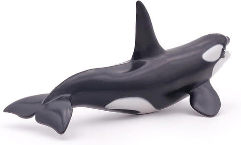 Papo - hand-painted - figurine - Marine Life - Killer Whale Figure-56000 - Collectible - For Children - Suitable for Boys and Girls - From 3 years...