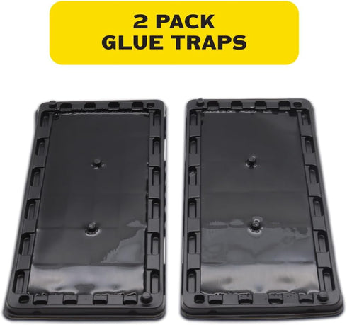 Pic GT2 Glue Rat Tray, 2-Pack...