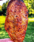 SuckleBusters Clucker Dust: Best Sweet & Spicy Chipotle Pepper Chicken Seasoning, Medium Heat, Gluten-Free, No MSG Shaker (14.5oz)...