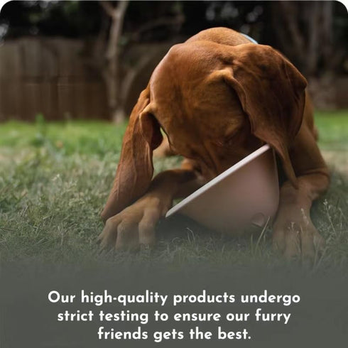 Gerrit Dog Treat Chew Toy, Dog Treat Toys Interactive Entertainment & Mental Stimulation, for Small, Medium, Large Breeds for Mental Stimulation, ...