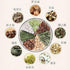 Loquat Tea 200g?7oz.?Loquat Tea...