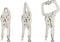 Hoteche 3pcs 5" Mini Locking Plier Set C-Clamp, Long Nose, Round Jaw Versatile Tools for Grip, Clamp, and Secure...