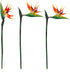 3 Pcs Large Bird of Paradise 32 Inch Permanent Flower,UV Resistant No Fade Flower Part is Made of Soft Rubber PU,Artificial Flower Plants for Home...