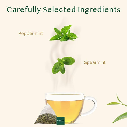 VAHDAM, Pure Mint Herbal Tea (100 Pyramid Tea Bags) Caffeine Free, Non GMO, Gluten Free | Blend of Spearmint & Peppermint - Sweet & Minty | Reseal...