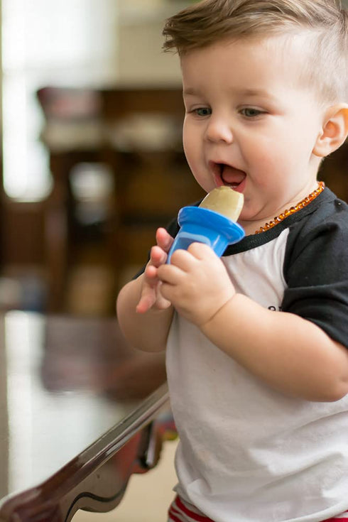 Nuby Garden Fresh Fruitsicle Frozen Pop Tray, Blue/Green, 2 Piece...