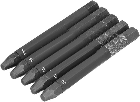 HEEPDD 5Pcs Graphite Sticks, 2B 4B 6B 8B 12B Hex Rod Graphite Stick Set Water Soluble Crayon Sticks for Sketch Shading Pencils...