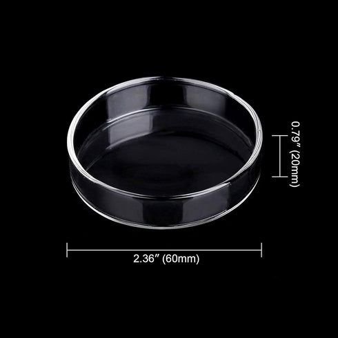 WEAVERBIRD 60mm Aquarium Shrimp Feeder Dish Glass Fish Tank Feeding Bowls Round Clear Dishes Tray...