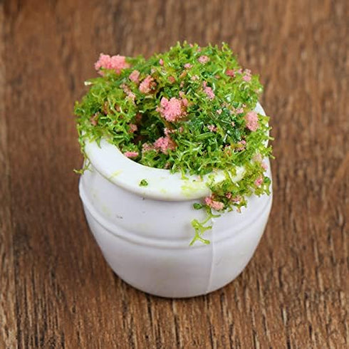 4 Pcs Dollhouse Potted Plants,Miniature Artificial Plant Bonsai,Mini Flowerpot,Miniature Dollhouse Kit,Doll House Mini Plant,for 1:12 Dollhouse De...