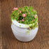 4 Pcs Dollhouse Potted Plants,Miniature Artificial Plant Bonsai,Mini Flowerpot,Miniature Dollhouse Kit,Doll House Mini Plant,for 1:12 Dollhouse De...