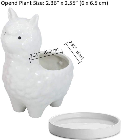 Lependor Cute Alpaca Succulent Planter Pot with Drainage Tray, White Ceramic Cactus/Flower Container, Animal Llama Bonsai Holder for Indoor Plants...