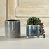 47th & Main Crackled Glazed Planter/Pot, Small, Gray...