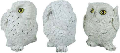 Ebros See Hear Speak No Evil Fat Baby White Owls Figurines Set of 3 Decor Wisdom of The Woods Nocturnal Snow Owl Bird Themed Chibi Owlets Collecti...