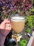Nutriplus Chicory Instant coffee & chicory blend (100gr)...