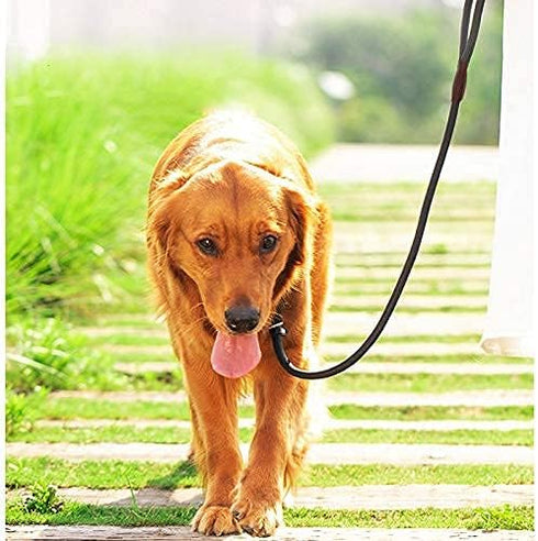 Rope Slip Lead Dog Leash, Heavy Duty 1/2” by 5ft Solid Colors 7+ Climbing Nylon Round Dog Training Leash, No Pull Dog Lead Great for Medium and La...