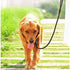 Rope Slip Lead Dog Leash, Heavy Duty 1/2” by 5ft Solid Colors 7+ Climbing Nylon Round Dog Training Leash, No Pull Dog Lead Great for Medium and La...