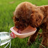 Dog Water Bowl Dog Water Bowl for Long Walks, Travel, Camping and Hiking Dispenser Water Bowl for Dogs and Cats Pets Water Bowl Portable and Leak ...