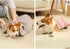 Microfiber Pet Towel - Dog Towel Super Absorbent Large Microfiber Drying Bath Towel for Dogs & Cats, 40x20 inches, Quick Drying, Lightweight Dog B...