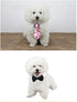 4 Pieces Pets Dog Cat Bowtie Pet Costume Adjustable Formal Necktie Collar for Cats Small Dogs Puppy Grooming Accessories (red/Heart)...