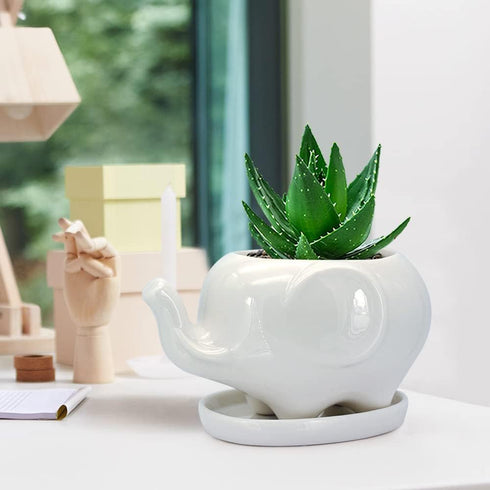 GeLive White Elephant Succulent Planter Ceramic Plant Pot Window Box with Saucer Animal Indoor Tabletop Decor Fun Gift 5 Inch (Mom Elephant)...