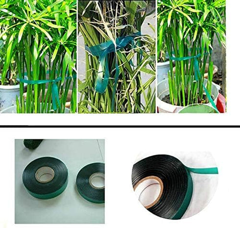3 Rolls 150 Feet Stretch Tie Tape 0.5 Inch Garden Tie Tape Thick Plant Ribbon Garden Green Vinyl Stake for Indoor Outdoor Patio Plant Use...